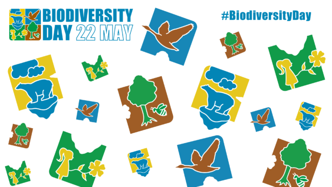 Biodiversity Day 2022